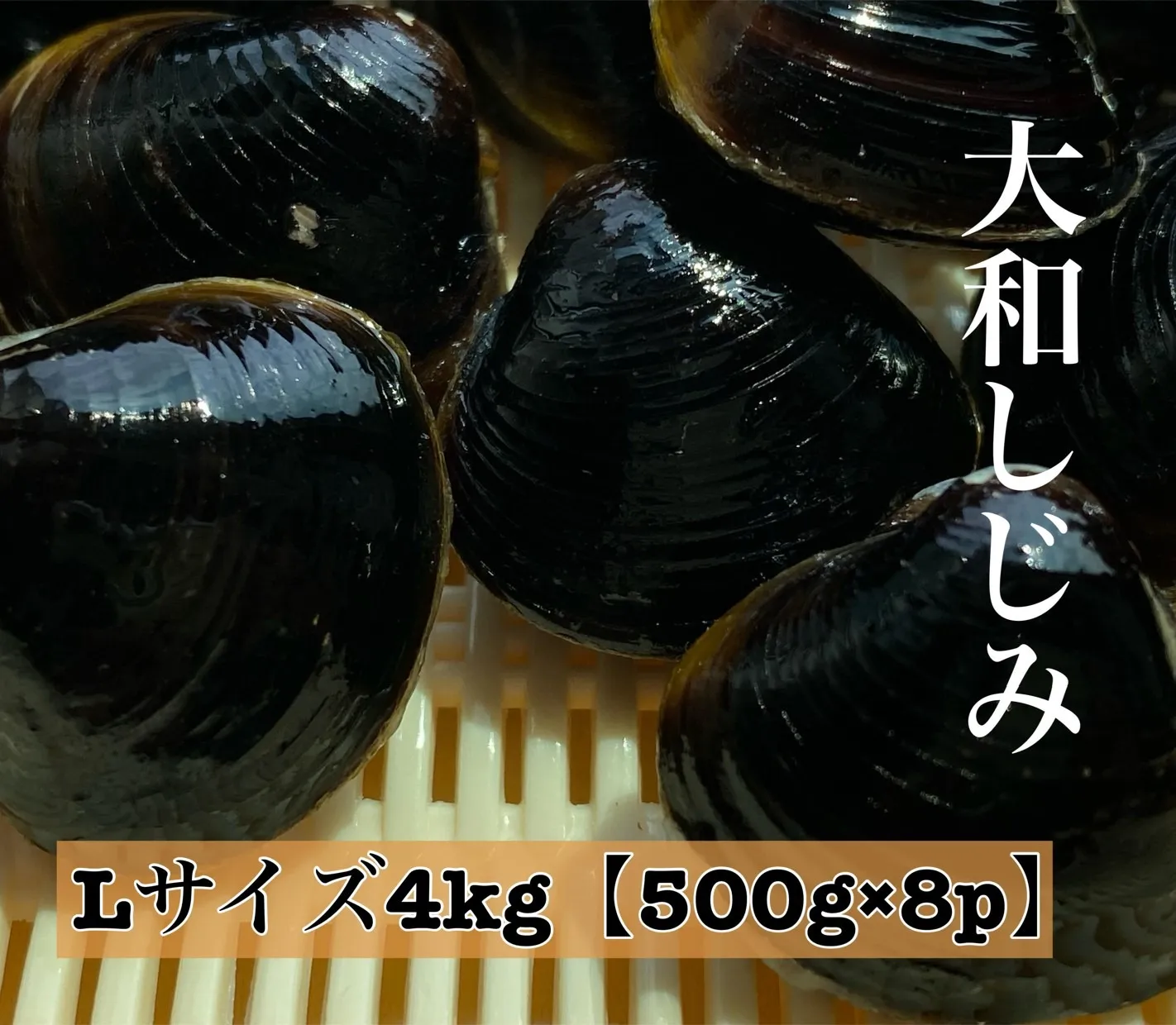 しじみ Lサイズ 4kg (500g×8)